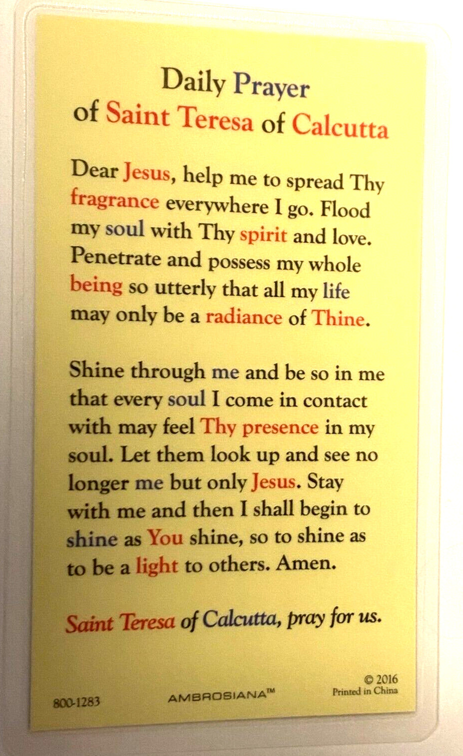 Saint Mother Teresa of Calcutta Laminated Prayer Card, New #PCL-024