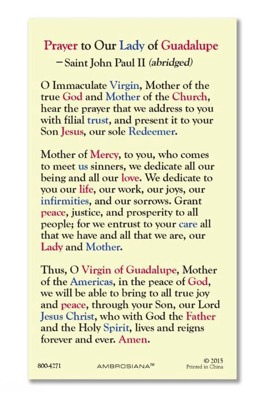 Our Lady of Guadalupe Laminated Prayer Card with Visions, New #PCL-037