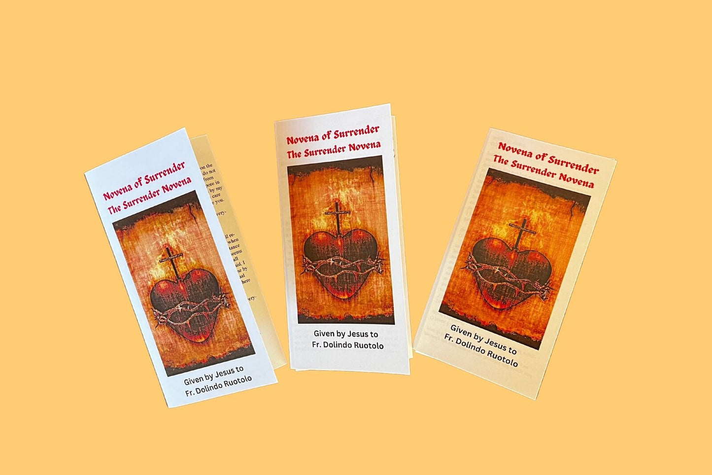 Surrender Novena to the Will of God Trifold Holy Card Packages