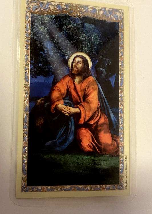 Jesus Christ/"The Power of Prayer " Laminated Prayer Card, New